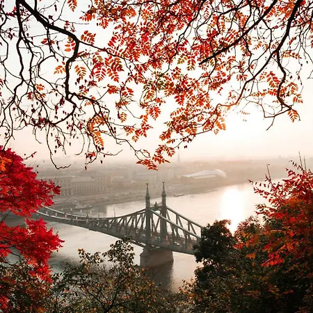 A20- Bp Modern Boutique